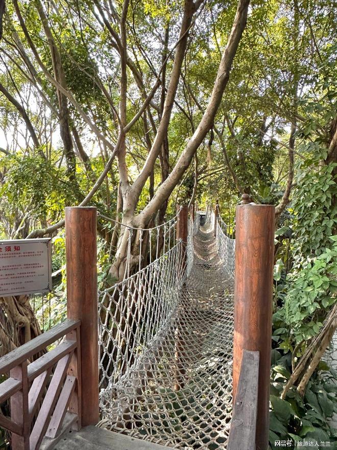 去厦门鼓浪屿旅游4天大概要多少钱人均费用预算解析